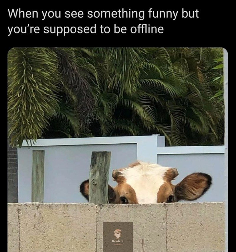 When you see something funny but you're supposed to be offline Kontent
