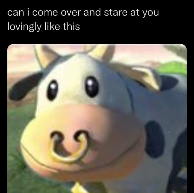 can i come over and stare at you lovingly like this