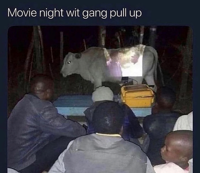 Movie night wit gang pull up