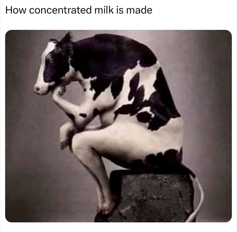 How concentrated milk is made