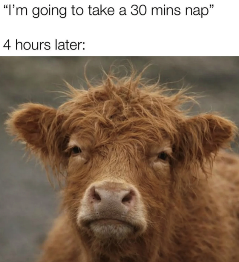 "I'm going to take a 30 mins nap" 4 hours later: