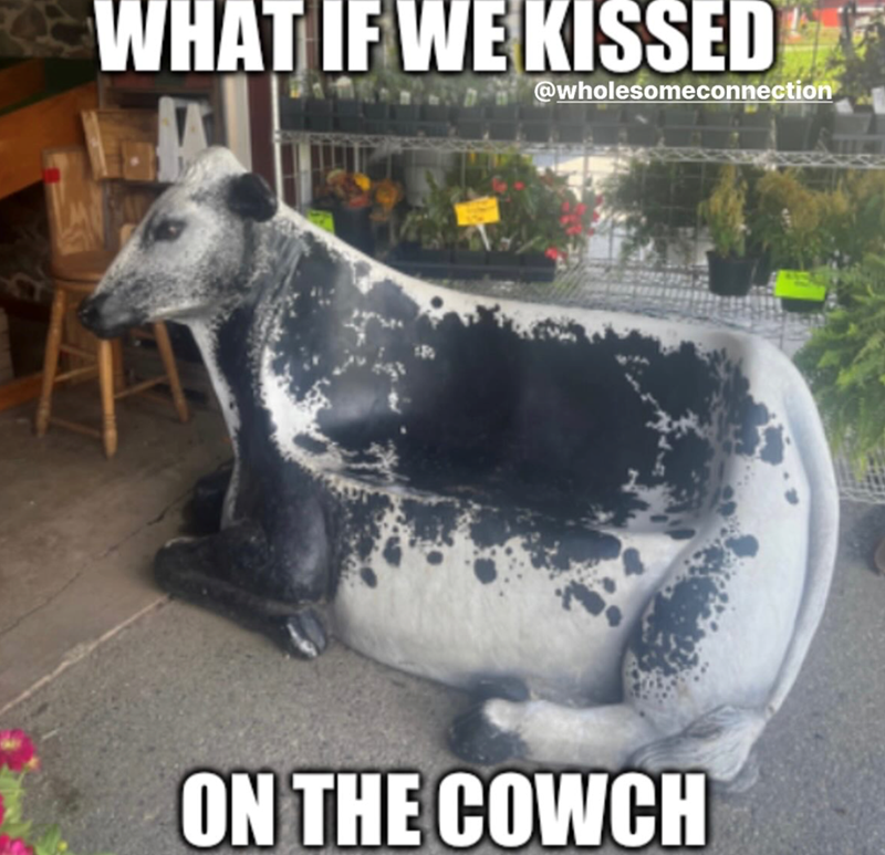 WHAT IF WE KISSED @wholesomeconnection ON THE COWCH