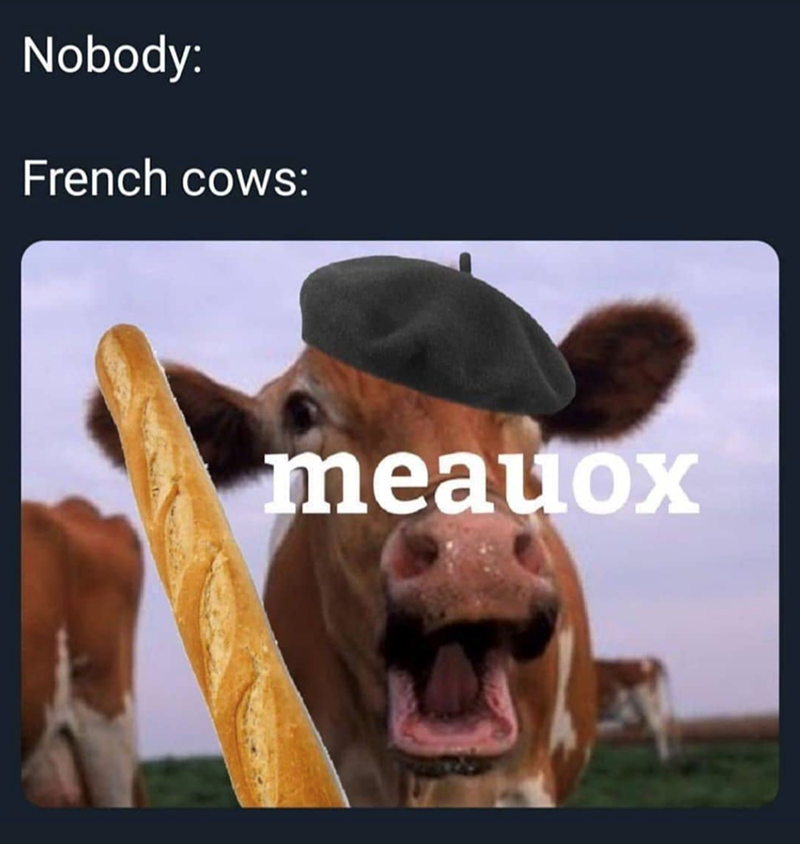 Nobody: French cows: meauox