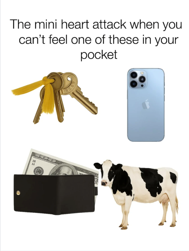 The mini heart attack when you can't feel one of these in your pocket 16 16 EAR