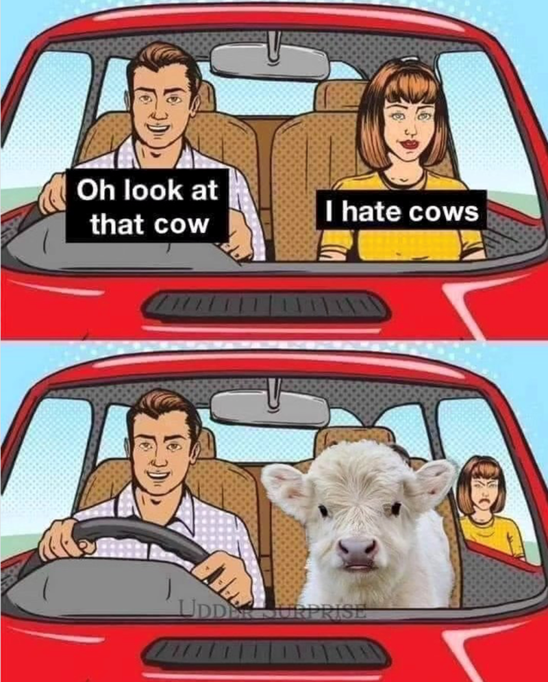 Oh look at that cow I hate cows UDDY SURPRISE