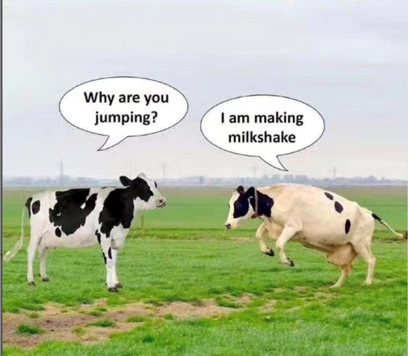 Why are you jumping? I am making milkshake