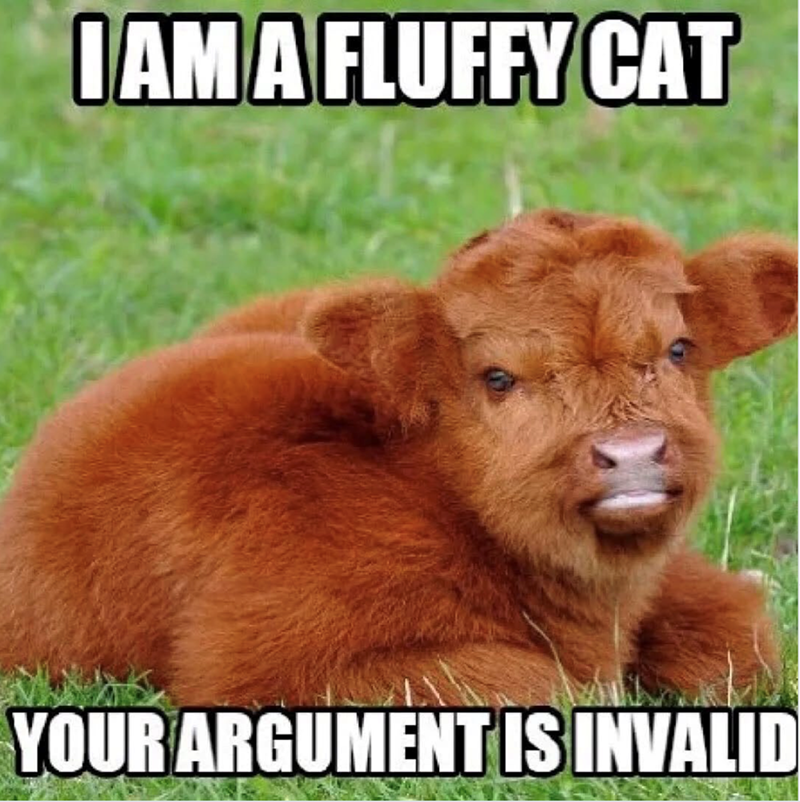 I AM A FLUFFY CAT YOUR ARGUMENT IS INVALID