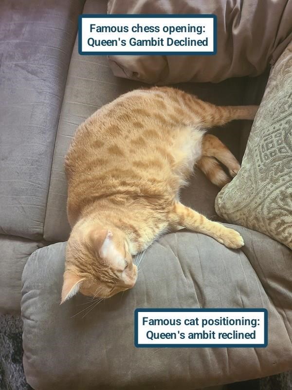 Cheezburger Image 10625268480