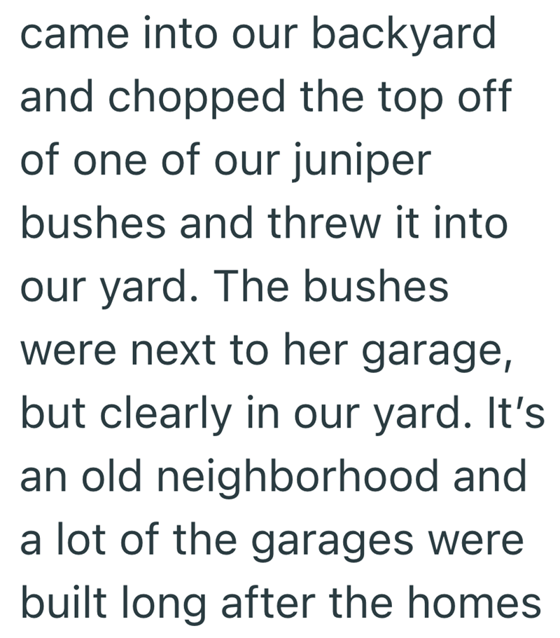 came into our backyard and chopped the top off of one of our juniper bushes and threw it into our yard. The bushes were next to her garage, but clearly in our yard. It's an old neighborhood and a lot of the garages were built long after the homes