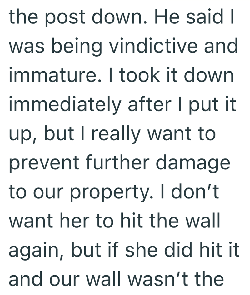 the post down. He said I was being vindictive and immature. I took it down immediately after I put it up, but I really want to prevent further damage to our property. I don't want her to hit the wall again, but if she did hit it and our wall wasn't the