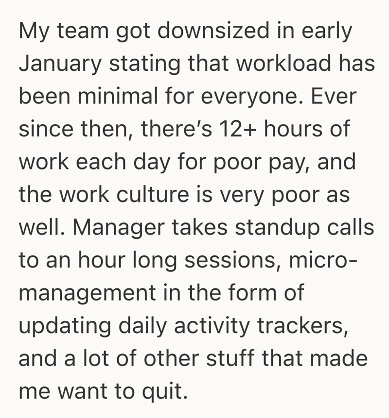 My team got downsized in early January stating that workload has been minimal for everyone. Ever since then, there's 12+ hours of work each day for poor pay, and the work culture is very poor as well. Manager takes standup calls to an hour long sessions, micro- management in the form of updating daily activity trackers, and a lot of other stuff that made me want to quit.