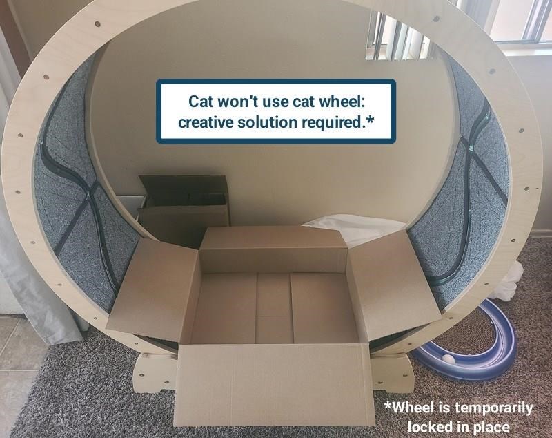 Cheezburger Image 10625338624