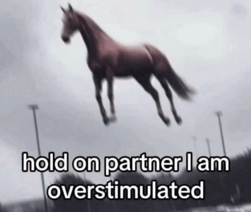hold on partner I am overstimulated