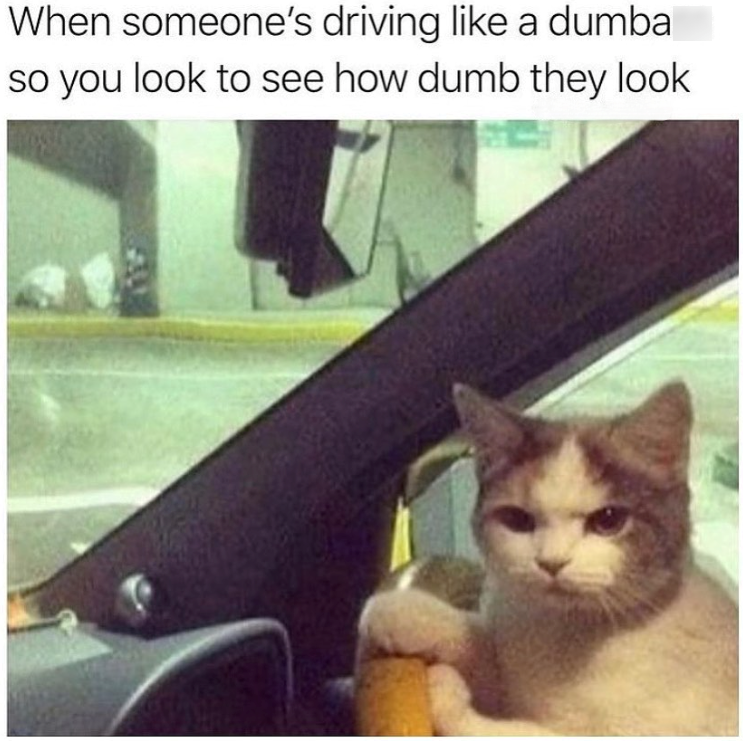 When someone's driving like a dumba so you look to see how dumb they look