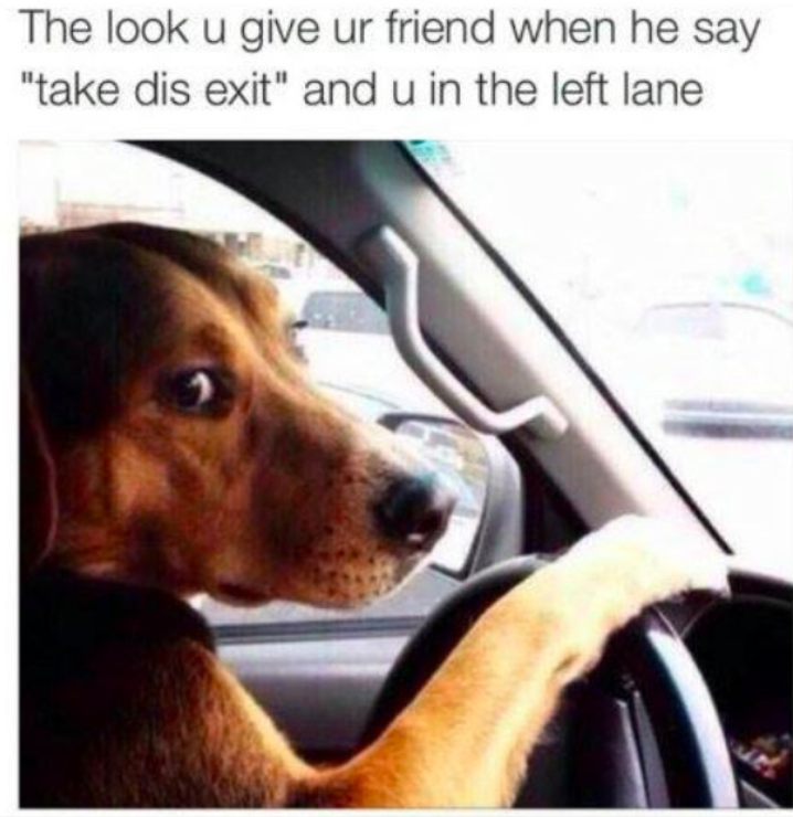 The look u give ur friend when he say "take dis exit" and u in the left lane