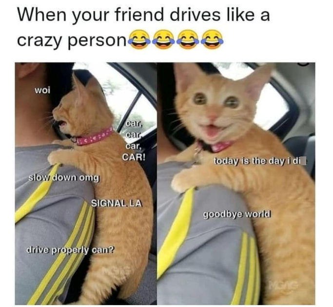 When your friend drives like a crazy personee woi car, car car, CAR! today is the day i di slow down omg SIGNAL LA goodbye world drive properly can? MGAG