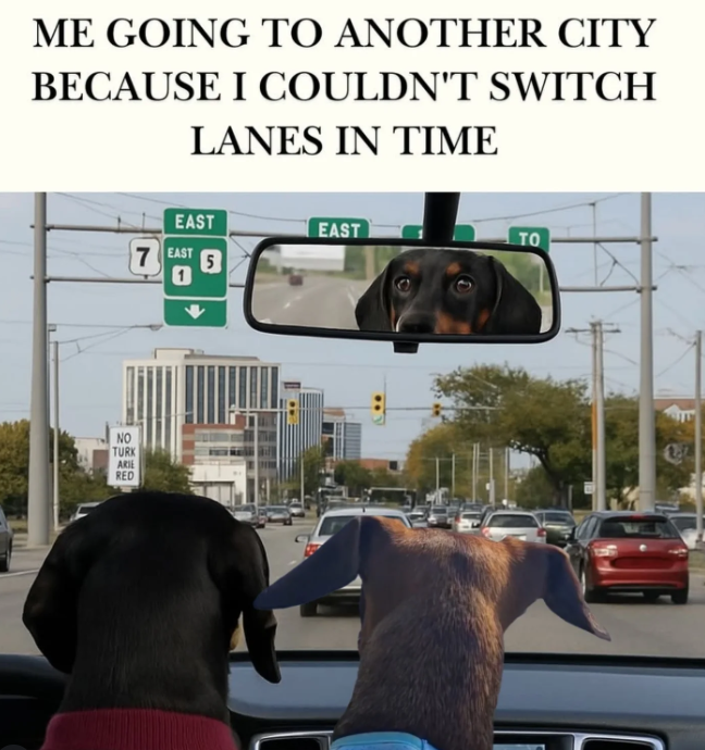 ME GOING TO ANOTHER CITY BECAUSE I COULDN'T SWITCH LANES IN TIME NO TURK ARIE RED EAST EAST TO 7 EAST 0 5