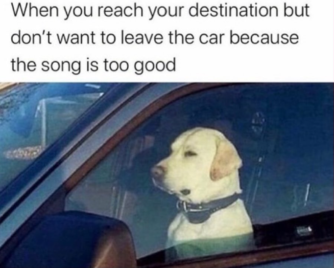 When you reach your destination but don't want to leave the car because the song is too good