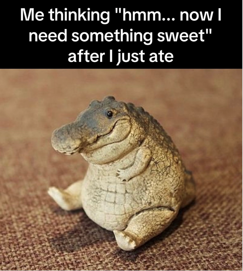 Me thinking "hmm... now I need something sweet" after I just ate