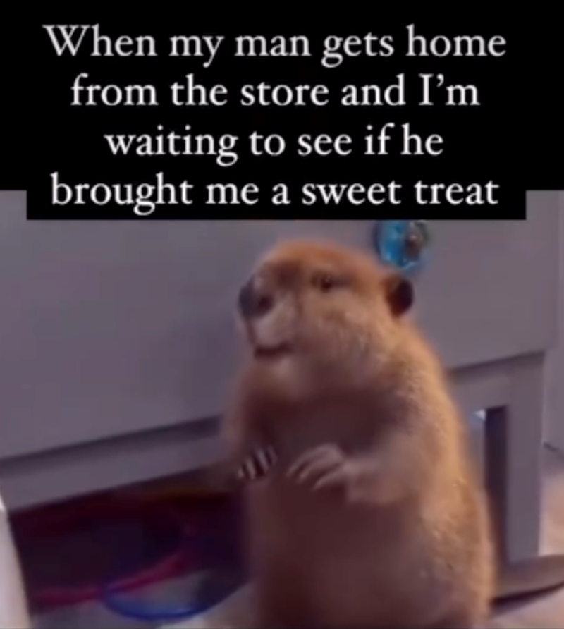 When my man gets home from the store and I'm waiting to see if he brought me a sweet treat