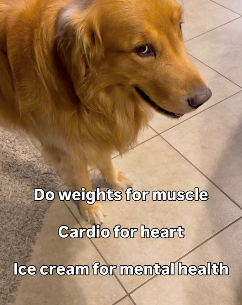 Do weights for muscle Cardio for heart Ice cream for mental health