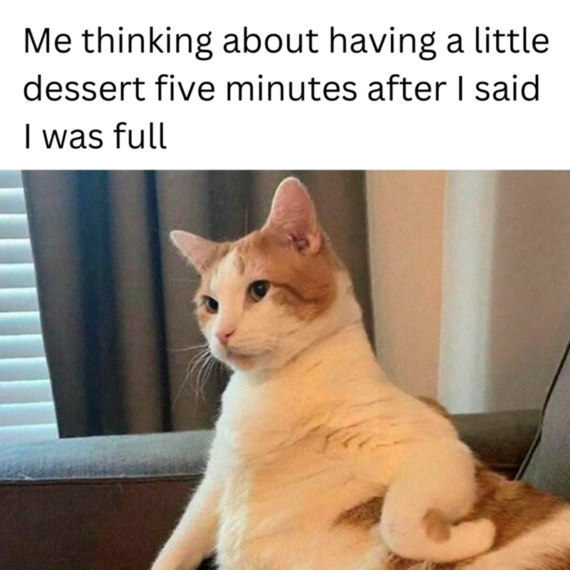 Me thinking about having a little dessert five minutes after I said I was full