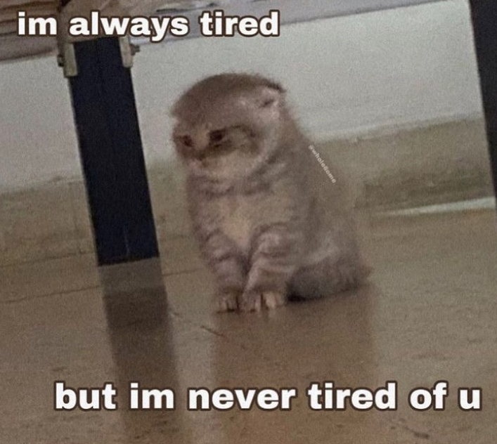 im always tired holeGome but im never tired of u