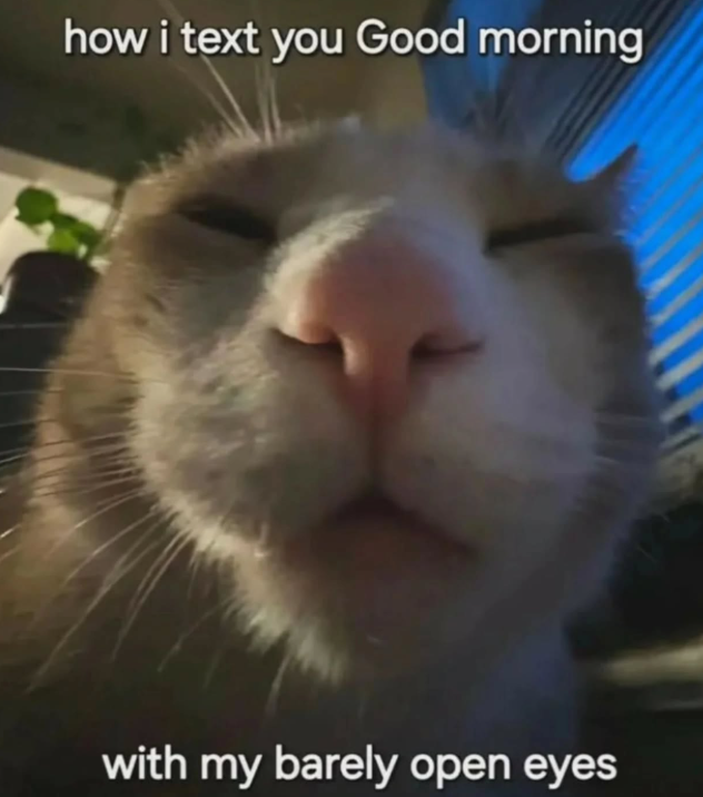 how i text you Good morning with my barely open eyes