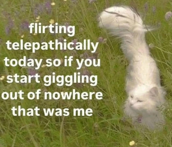 flirting telepathically today so if you start giggling out of nowhere that was me