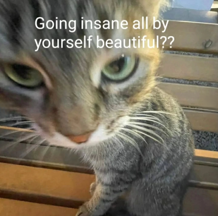 Going insane all by yourself beautiful??