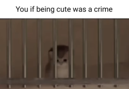 You if being cute was a crime