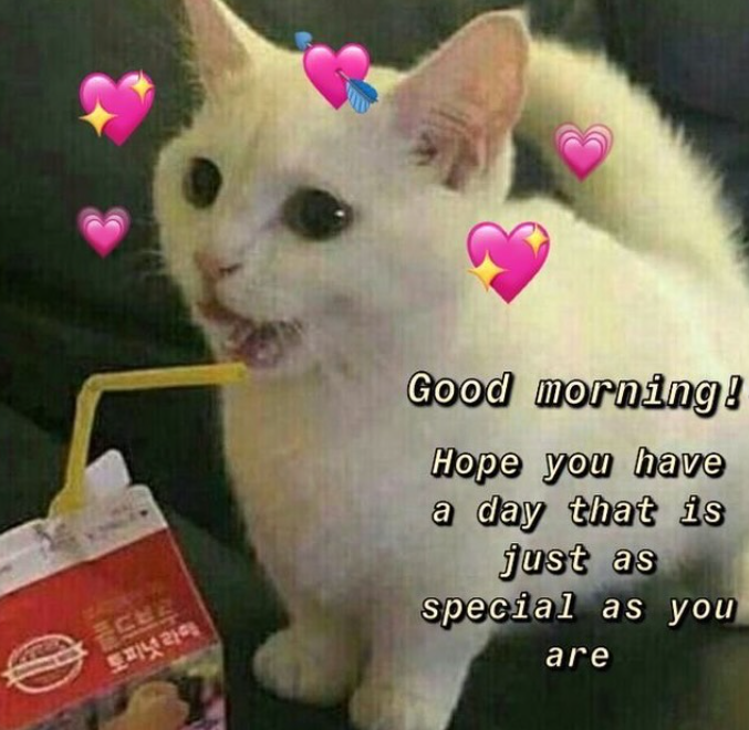 콜드브루 토피넛라떼 Good morning! Hope you have a day that is just as special as you are