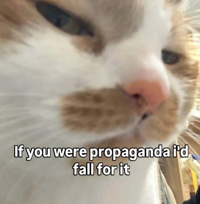 If you were propaganda i'd fall for it