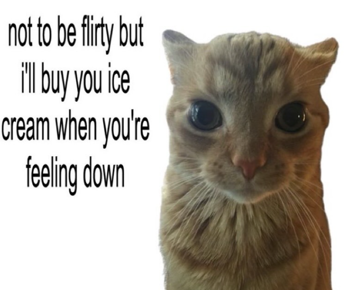 not to be flirty but i'll buy you ice cream when you're feeling down
