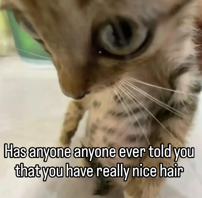 Has anyone anyone ever told you that you have really nice hair