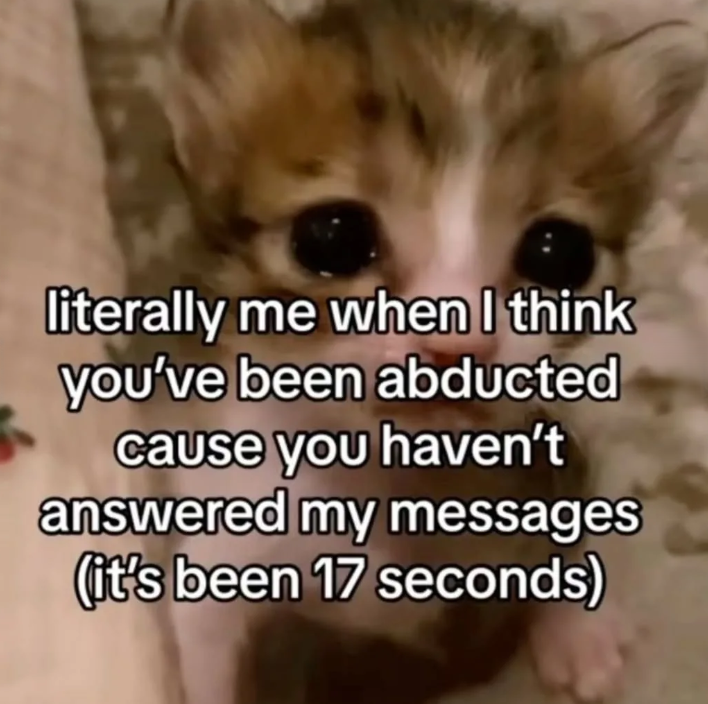 literally me when I think you've been abducted cause you haven't answered my messages (it's been 17 seconds)