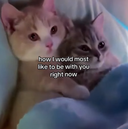 how I would most like to be with you right now