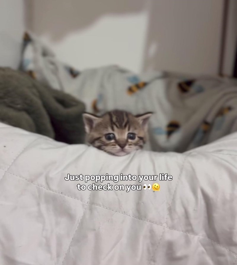 Just popping into your life to check on you⚫⚫