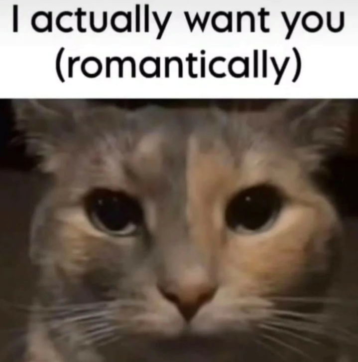 I actually want you (romantically)