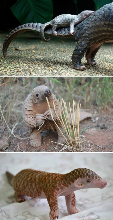 Cheezburger Image 10625382400