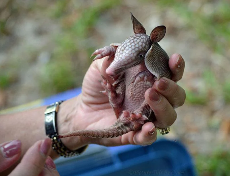 Picture This by Cyns