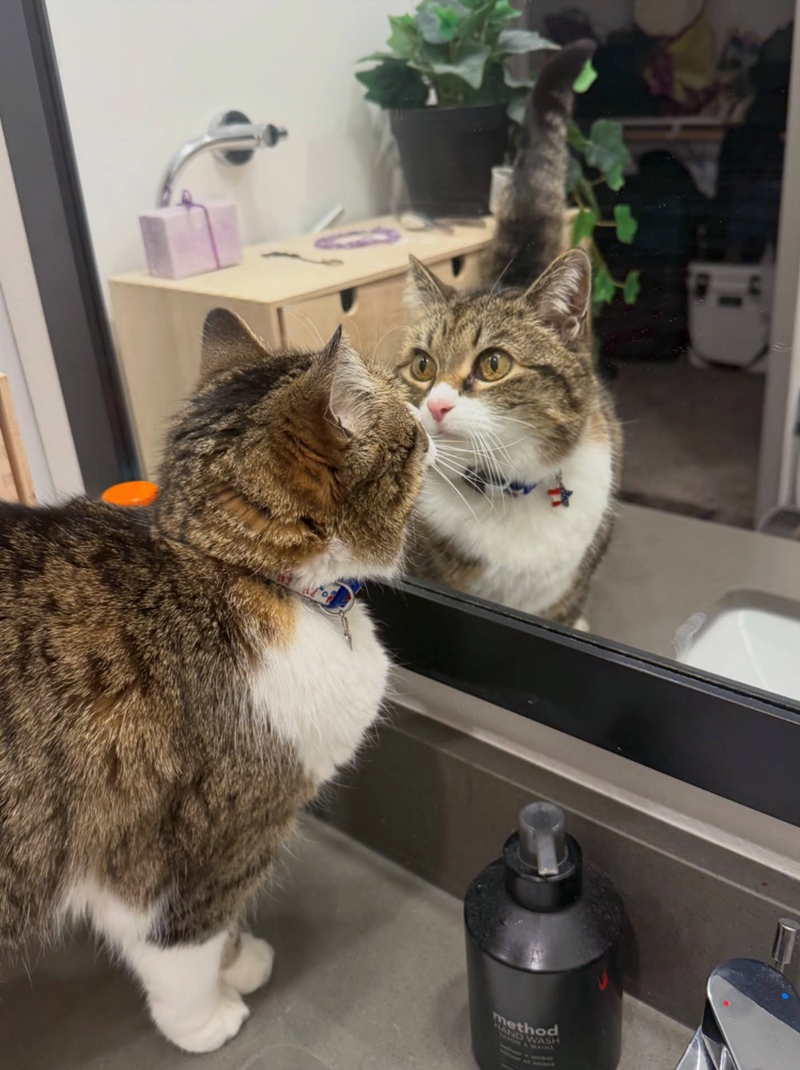 method HAND WASH volver o ambre