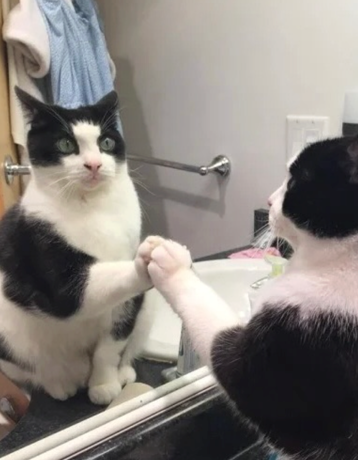 Cheezburger Image 10625392640