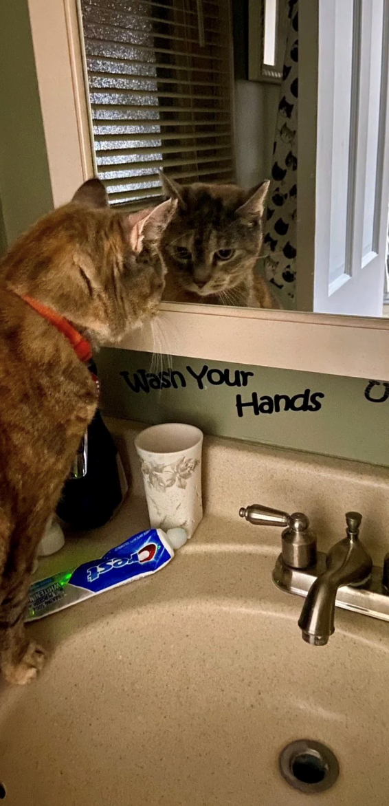 Q Wash Your Hands www WHITENIN