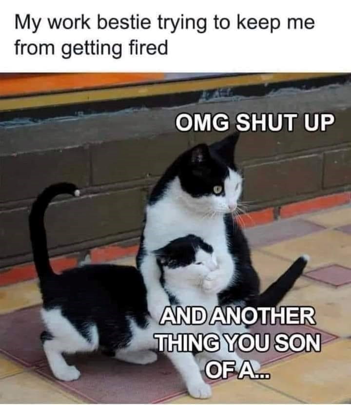 My work bestie trying to keep me from getting fired OMG SHUT UP AND ANOTHER THING YOU SON OF A...
