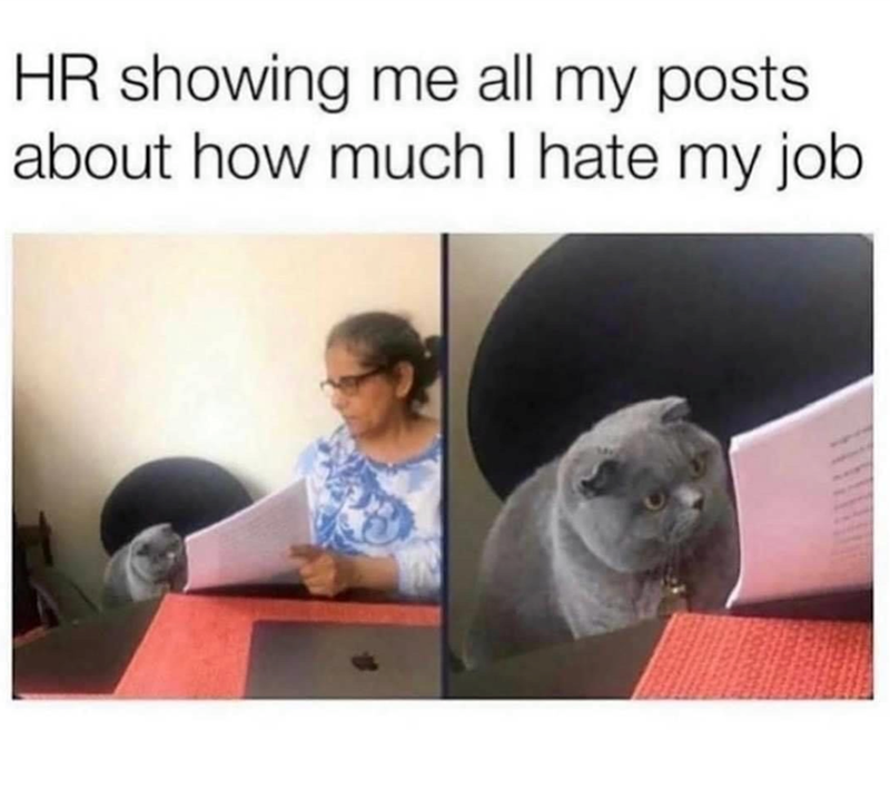 HR showing me all my posts. about how much I hate my job