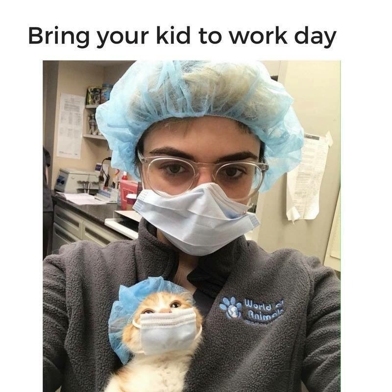 Bring your kid to work day World Anima