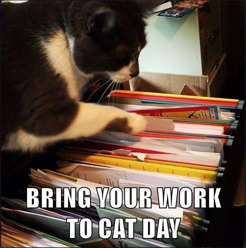 BRING YOUR WORK TO CAT DAY