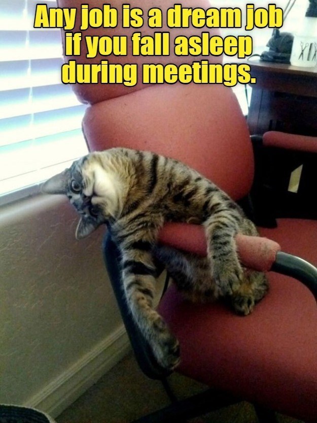 Any job is a dream job if you fall asleep during meetings.
