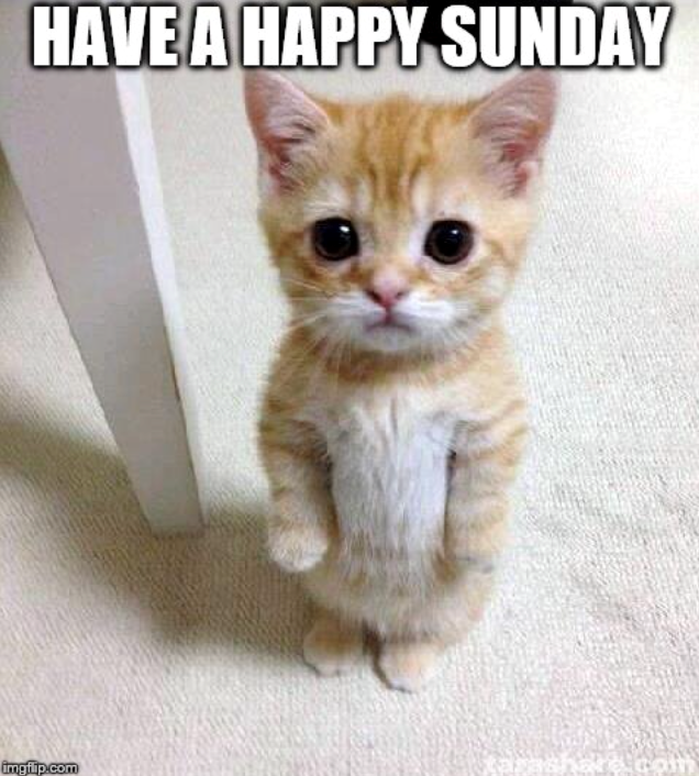 HAVE A HAPPY SUNDAY imgflip.com